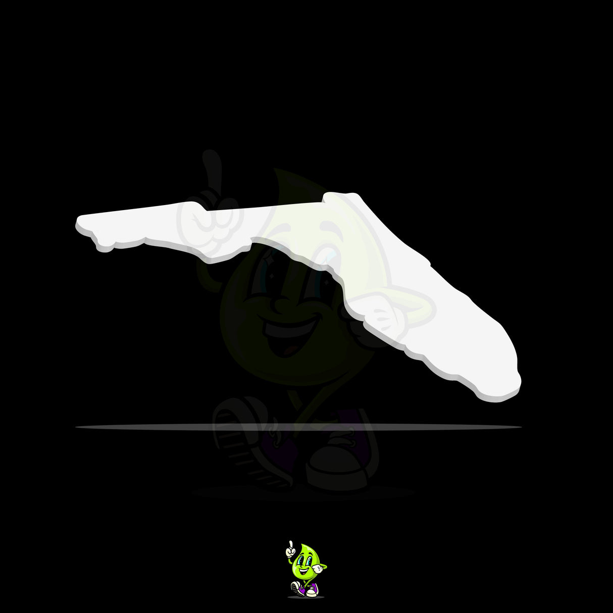 Blank Florida