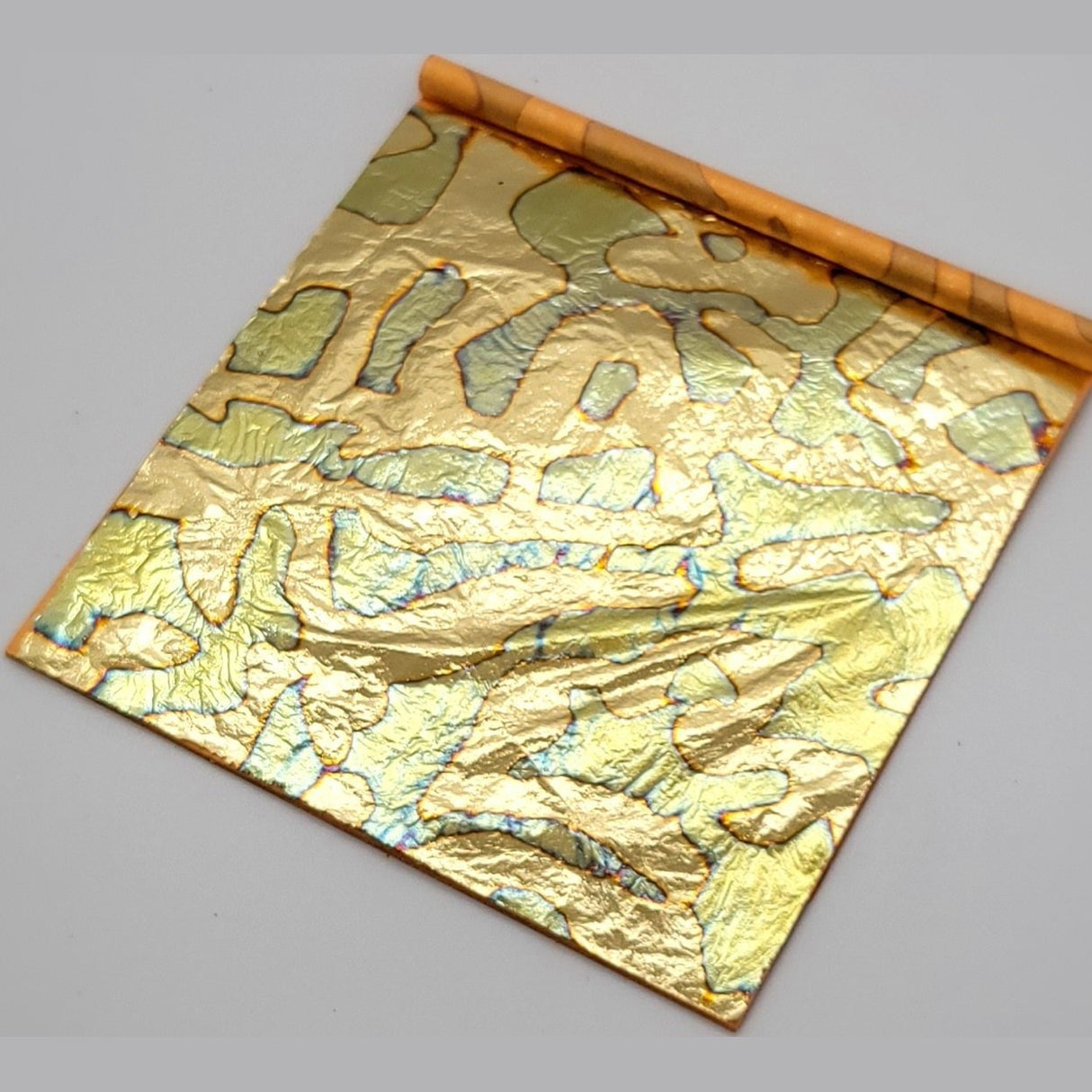 Tropical Glitz Variegated Leaf - Tropical Glitz