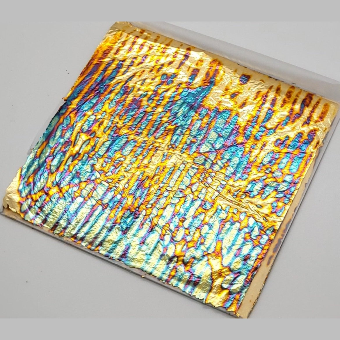 Tropical Glitz Variegated Leaf - Tropical Glitz