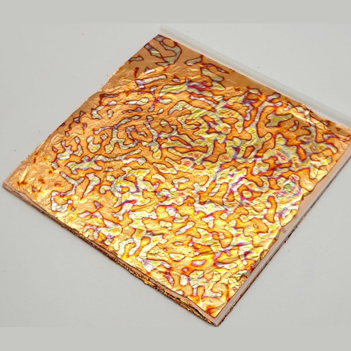 Tropical Glitz Variegated Leaf - Tropical Glitz