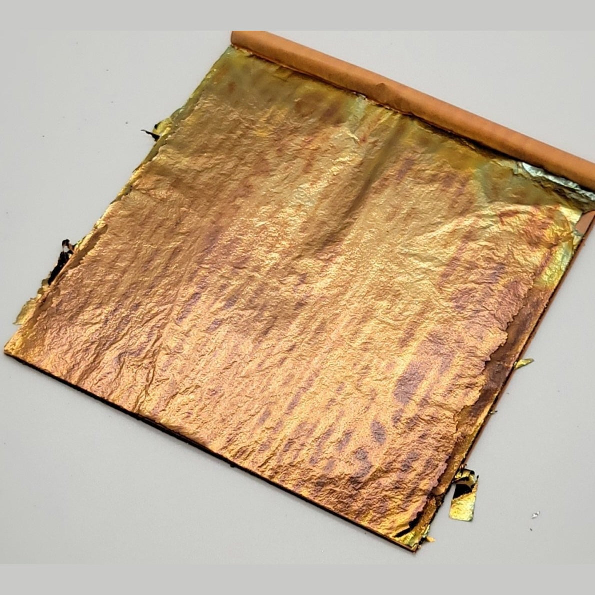 Tropical Glitz Variegated Leaf - Tropical Glitz