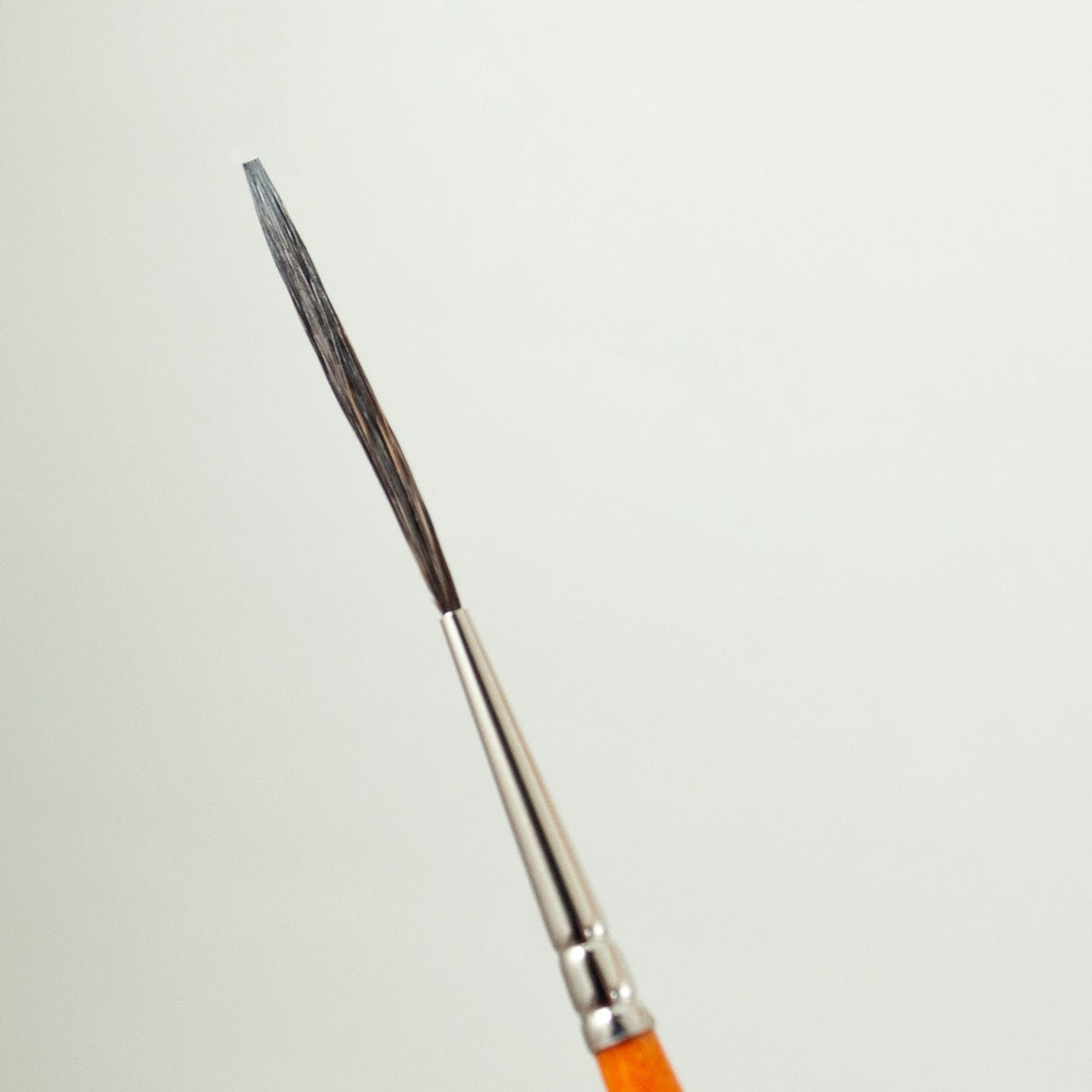 Alan Johnson Signature Mack Brush - Tropical Glitz