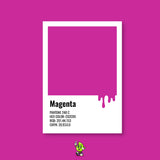 Magenta Spray Can (12oz)