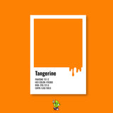 Tangerine Spray Can (12oz)