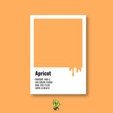 Apricot Spray Can (12oz)