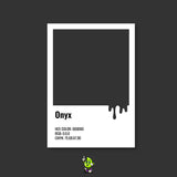 Onyx Spray Can (12oz)