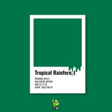 Tropical Rainforest Spray Can (12oz)