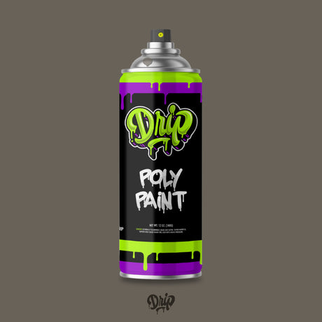 Fossil Spray Can (12oz)