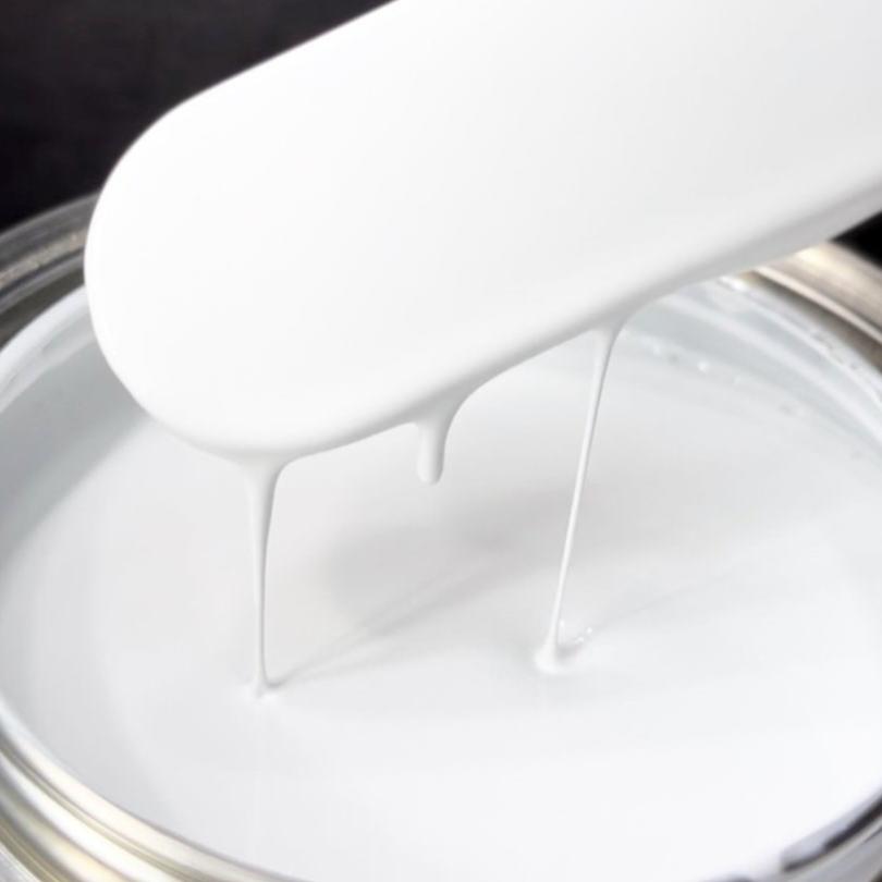 Snow White - Tropical Glitz | Tropical Glitz