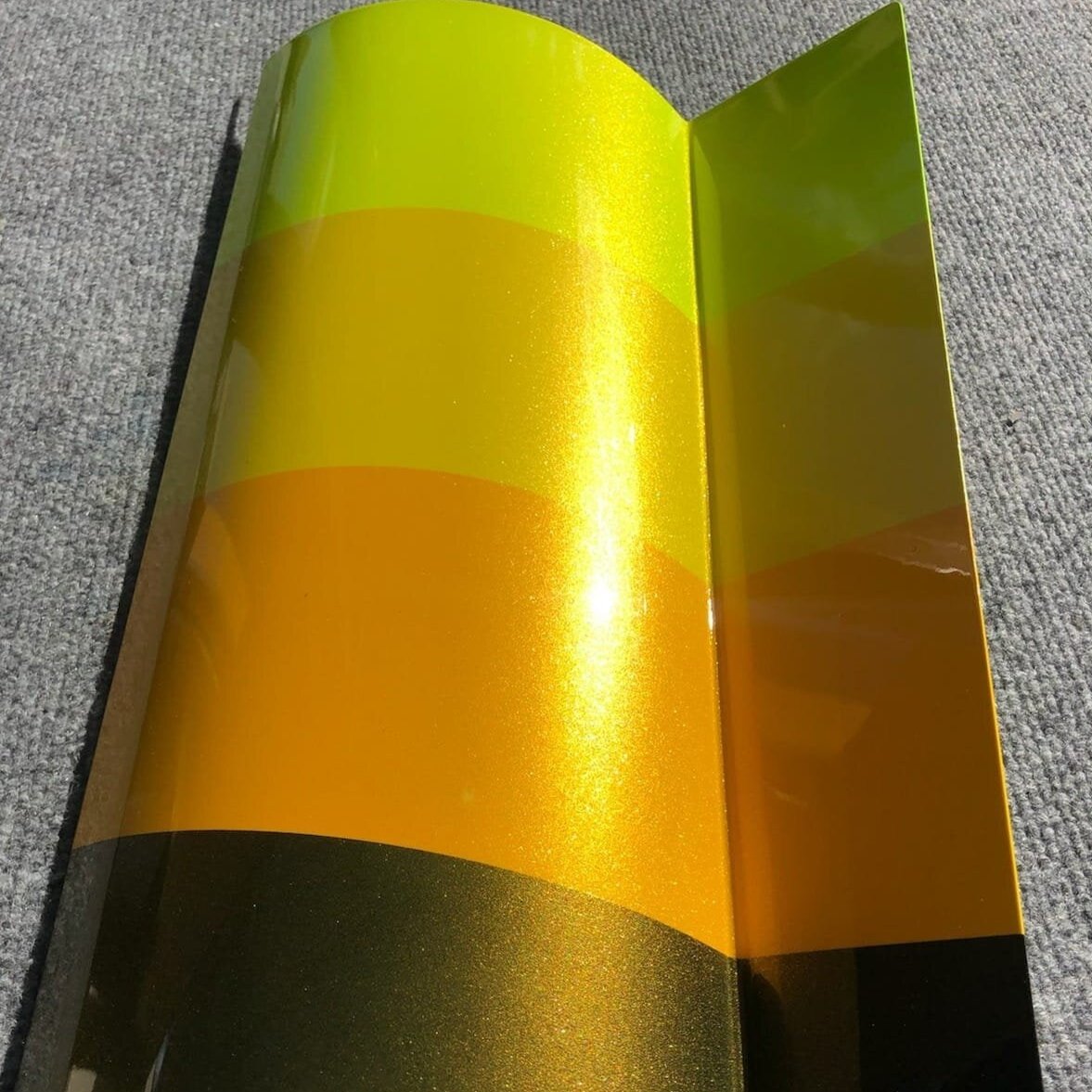 ahpl A.H.P.L ナッティダディ　　レアCOLOR Buy Acer palmatum 'Dixie Delight' Japanese Maple — Mr Maple