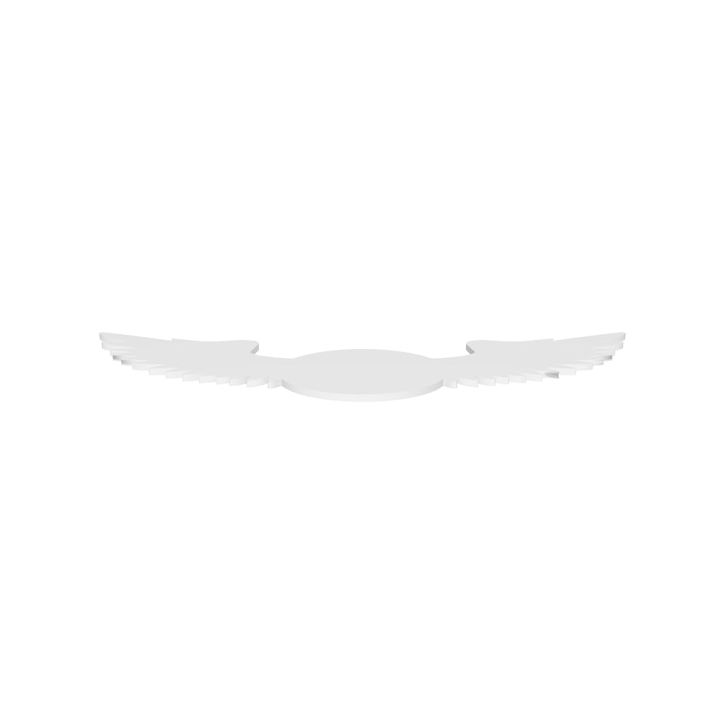 Blank Flying Eyeball IV