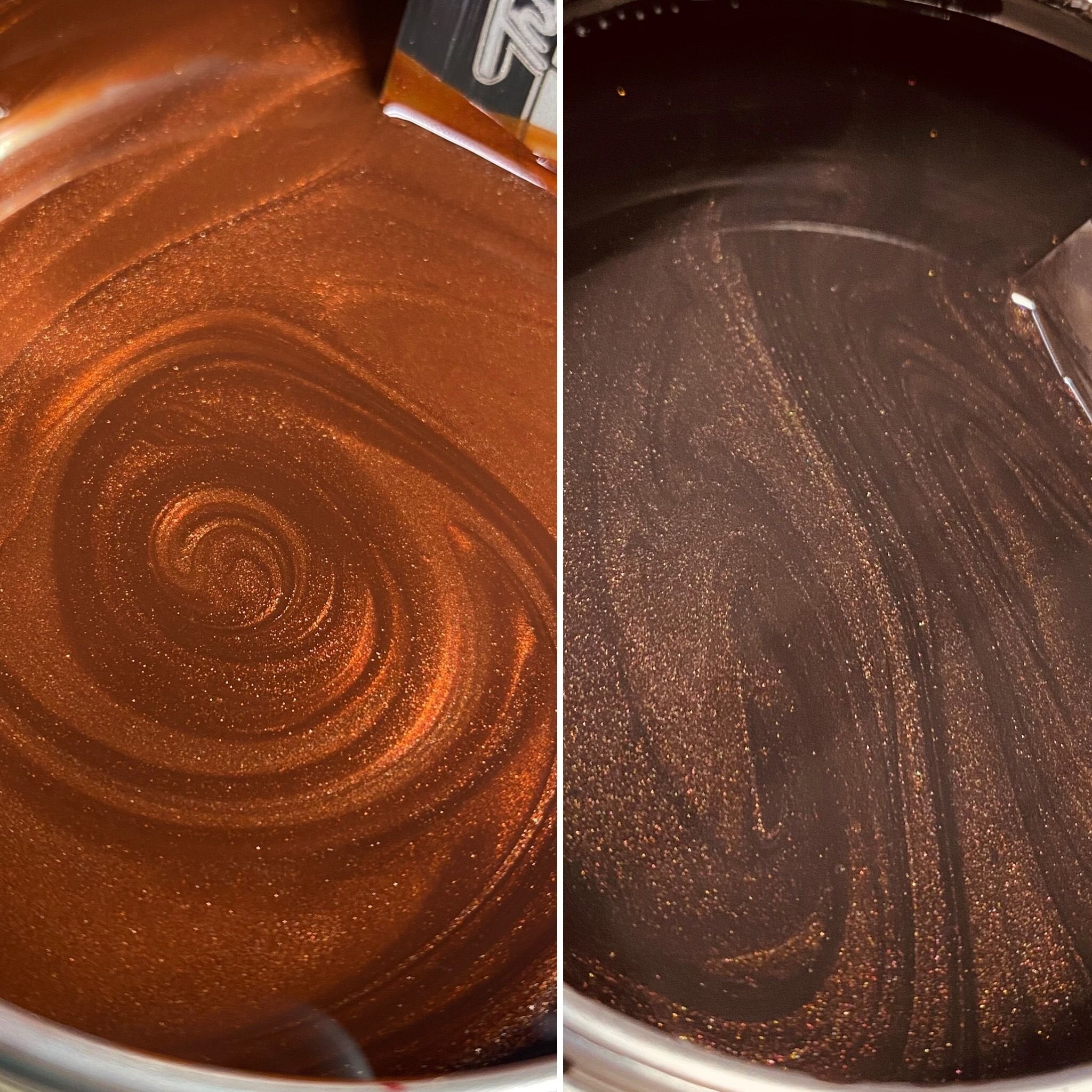 【CPGN】Fudge Bear Pigment 半袖T 2色 Fudge Brownie Dark - Tropical Glitz | Tropical Glitz
